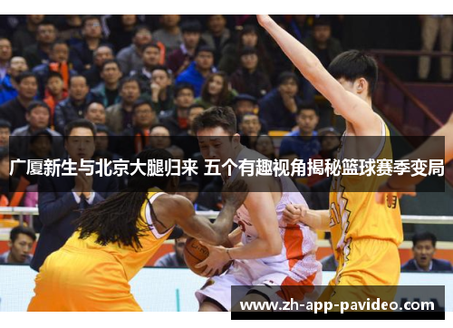 广厦新生与北京大腿归来 五个有趣视角揭秘篮球赛季变局