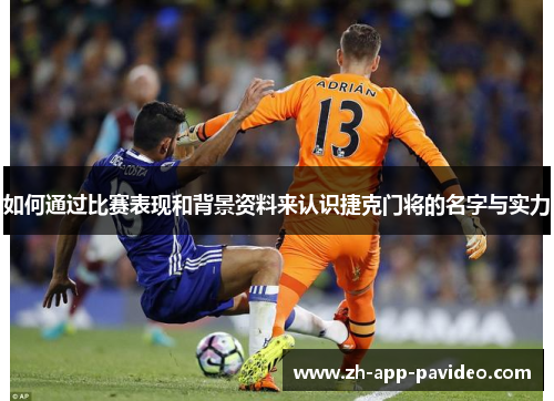 如何通过比赛表现和背景资料来认识捷克门将的名字与实力