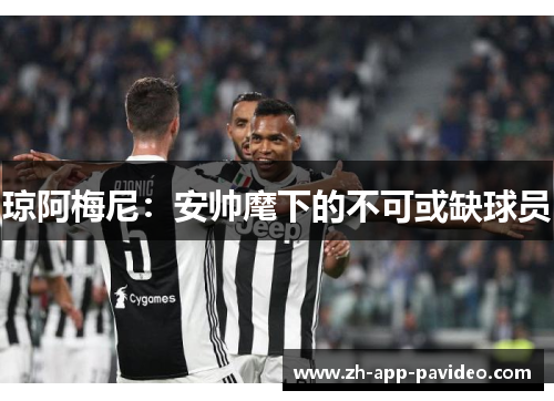 琼阿梅尼：安帅麾下的不可或缺球员